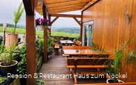 Gemütlich sitzen auf der Terrasse - © Pension & Restaurant Haus zum Nöckel