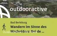Wanderung in Bad Berleburg: Wandern im Sinne des Wacholders: Bei de Hullerkeppe