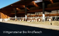 Wittgensteiner Bio Rindfleisch