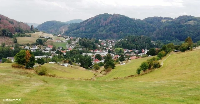 Blick auf Beringhausen