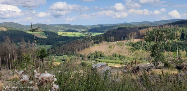 Blick von der Kalmbracht Richtung Hatzfeld/Eder